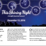shining-night-flyer
